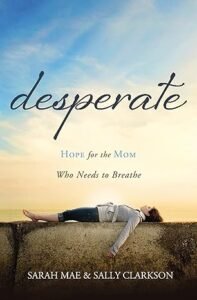 Get Desperate one of the great books for christian moms