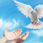 The Holy Spirit is our advocate in all things