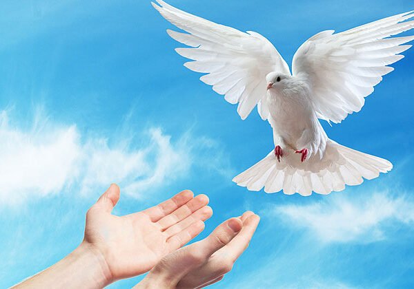 The Holy Spirit is our advocate in all things