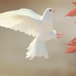 find Godly peace with our guide to discovering peace in Jesus Christ