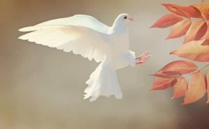 Finding Peace in Jesus Christ – Your Spiritual Guide
