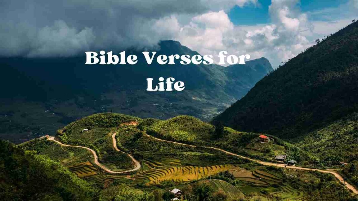 Bible verse for life to guide you and help you walk with God