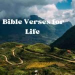 Bible verse for life to guide you and help you walk with God