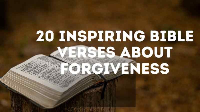 An open Bible resting on a wooden table under soft morning light, symbolizing peace, forgiveness, and new beginnings in Christ. Bible verses about forgiveness