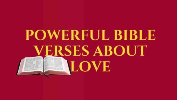 Open Bible with Close-up of a Bible page showing bible verses — a reminder of God’s endless love. Bible verses about love.