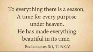 Best bible verse about God's Timing